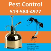 enzappers Pest Control Services image 2